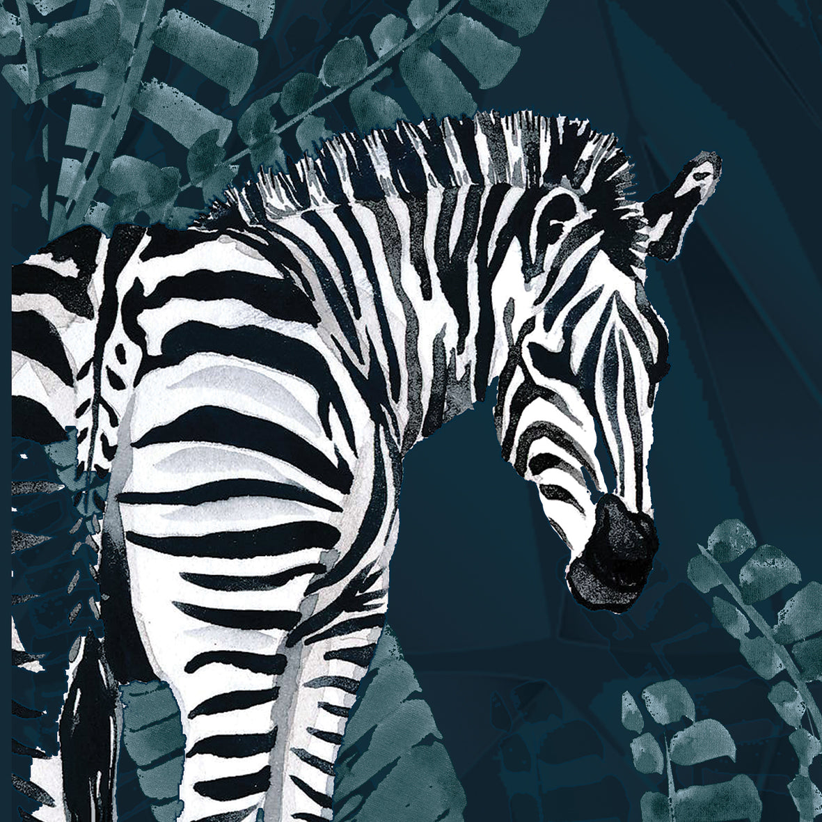 Zebra